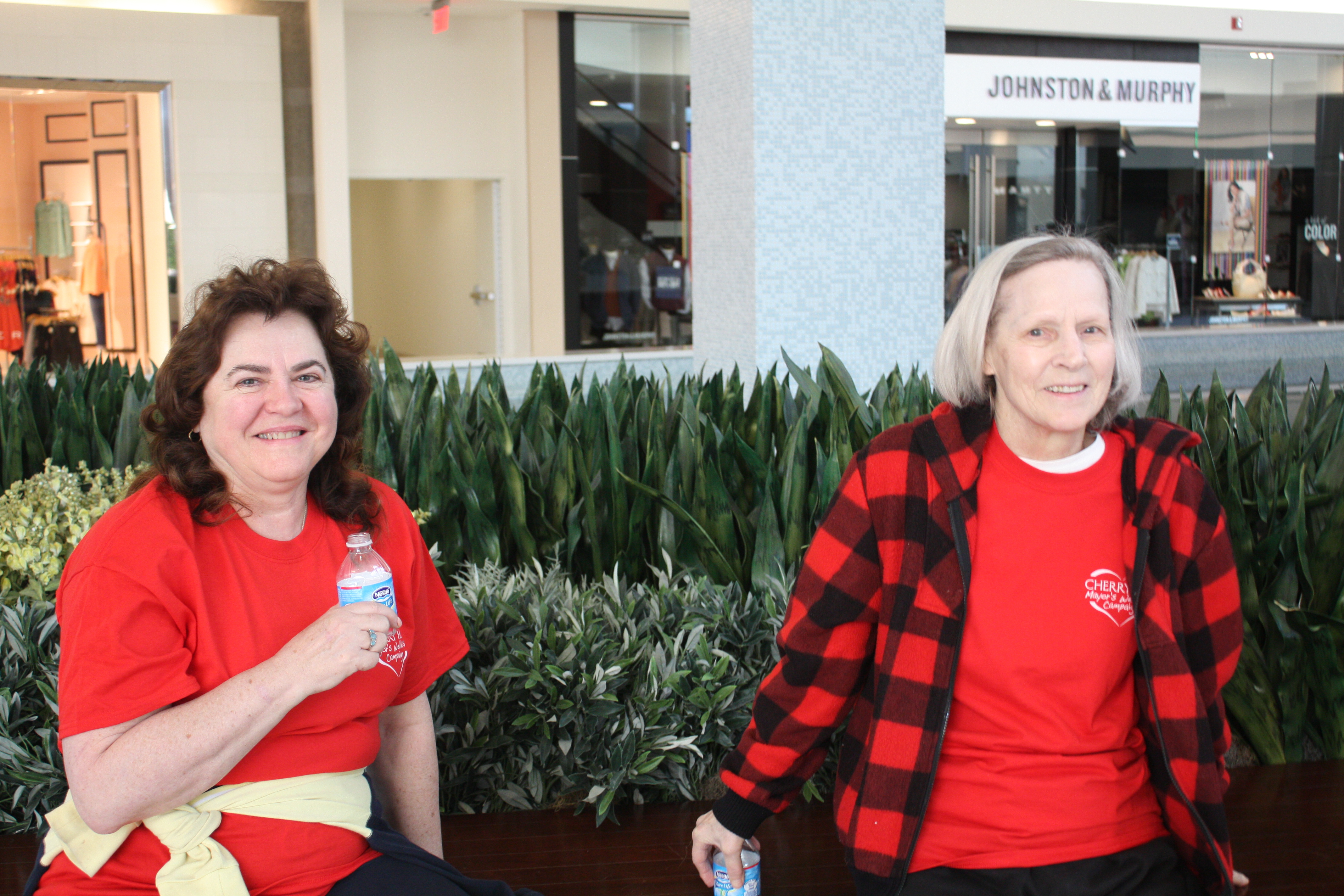 Walk with the Mayor March 2